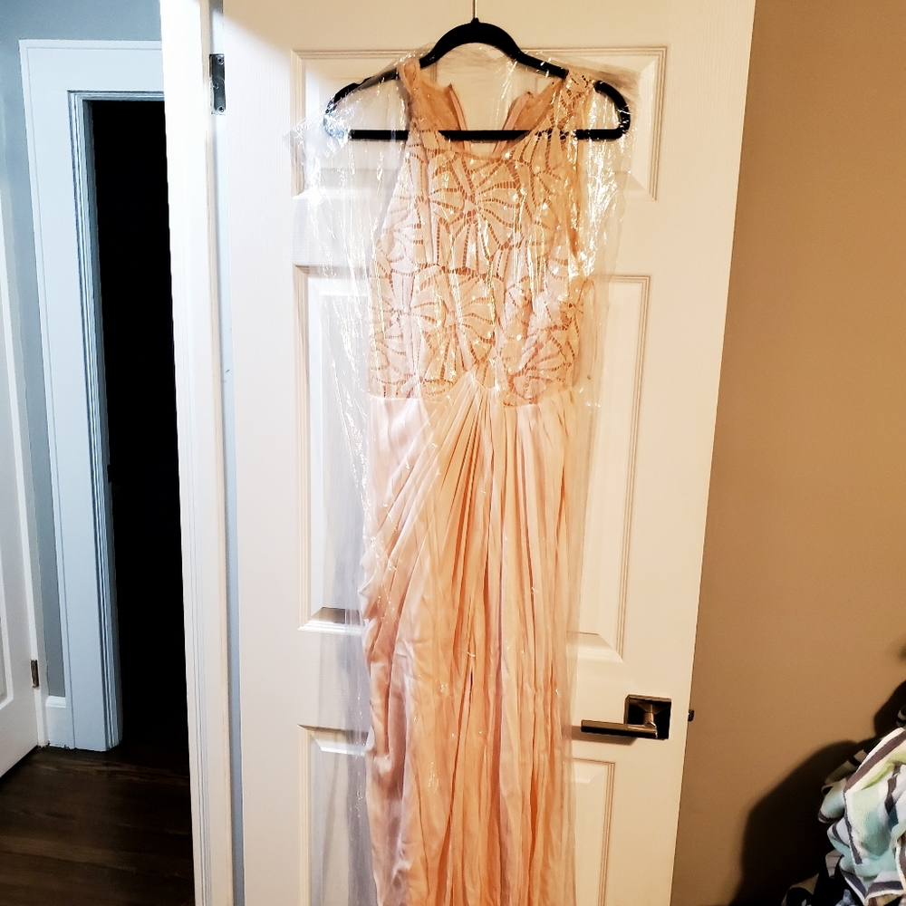 Badgley Mischka Draped Sequin Lace Gown In Blush - Picture 4 of 4